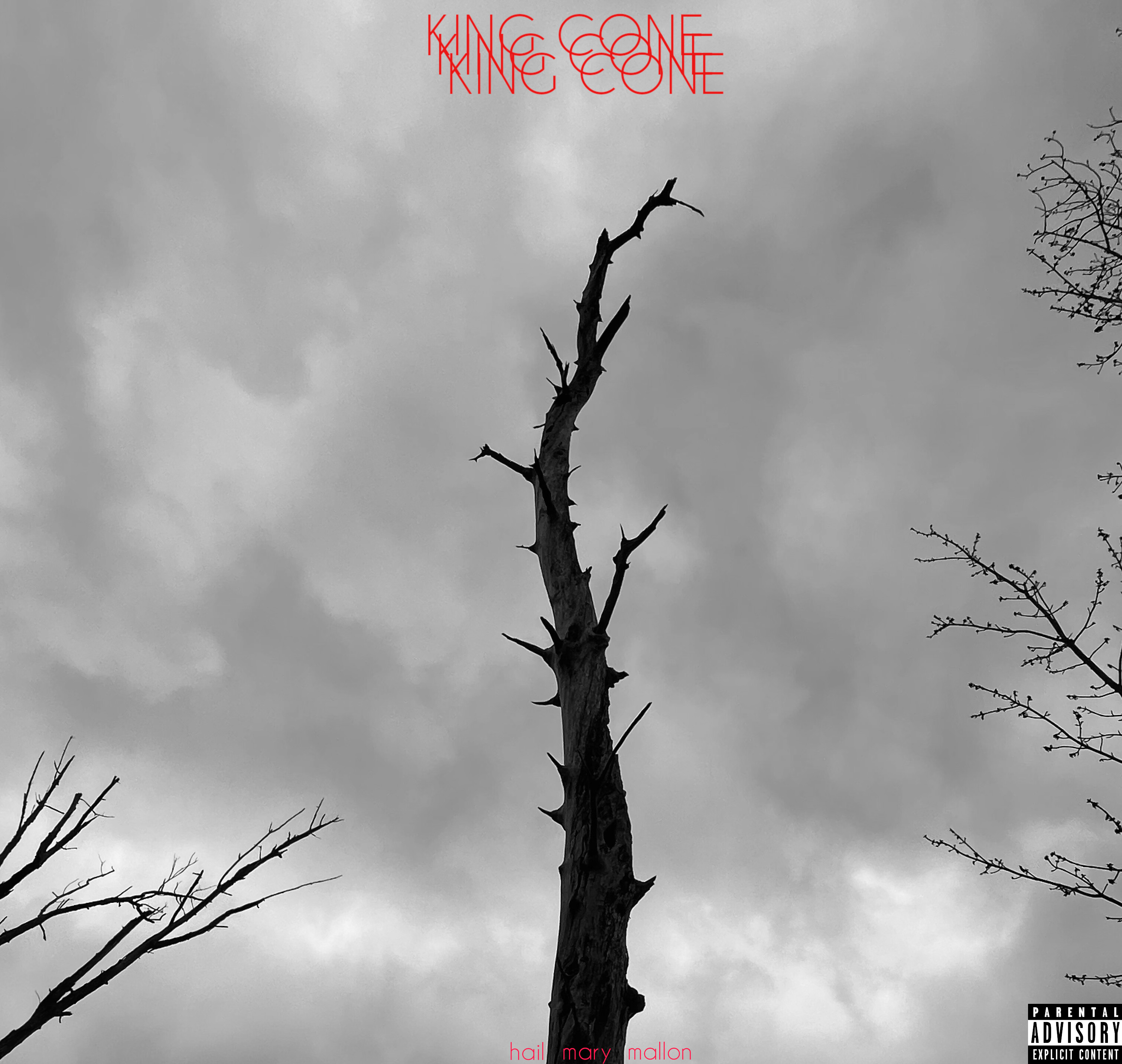 A dead tree. Above it: King Kone.